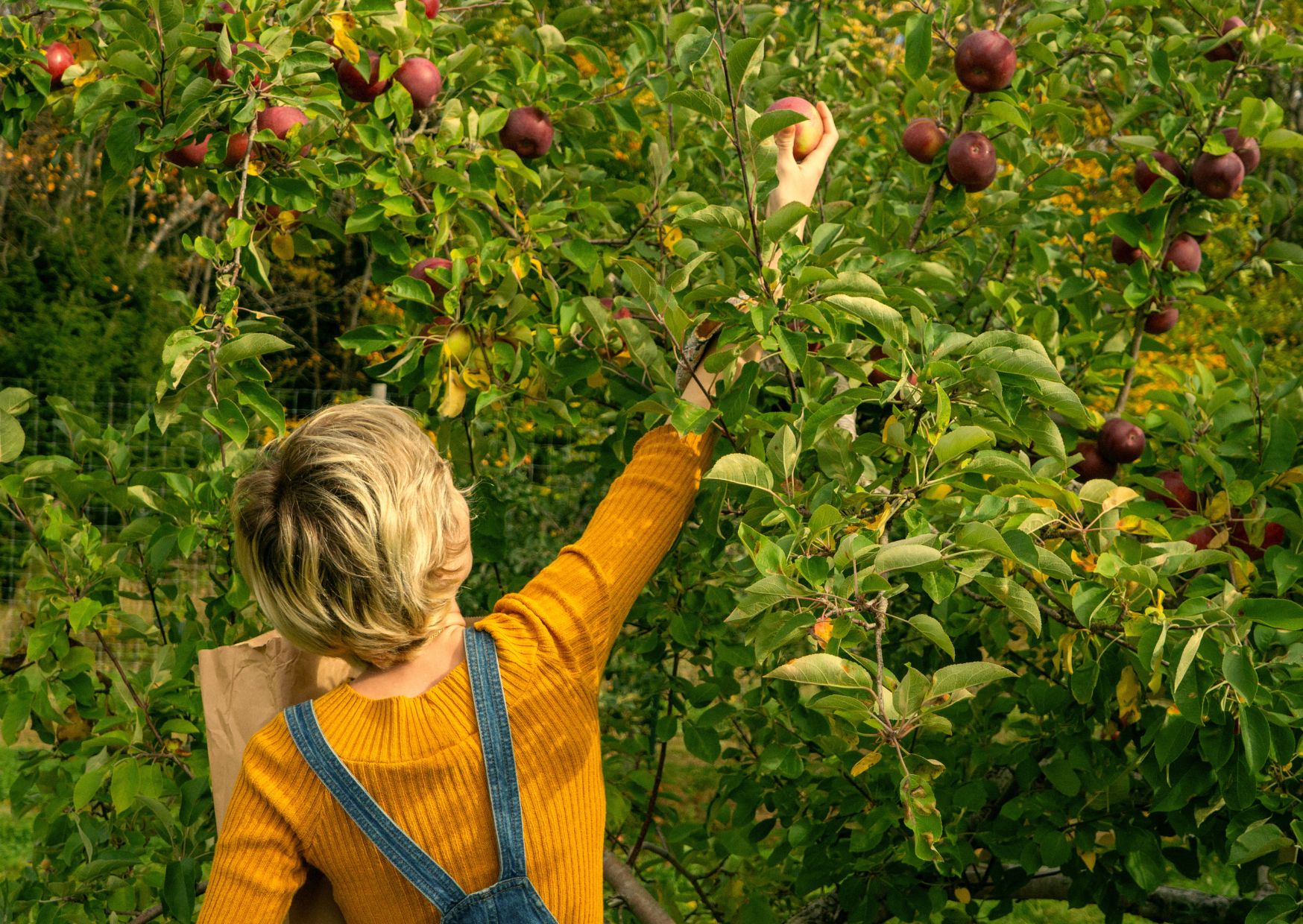 Collecting Happiness