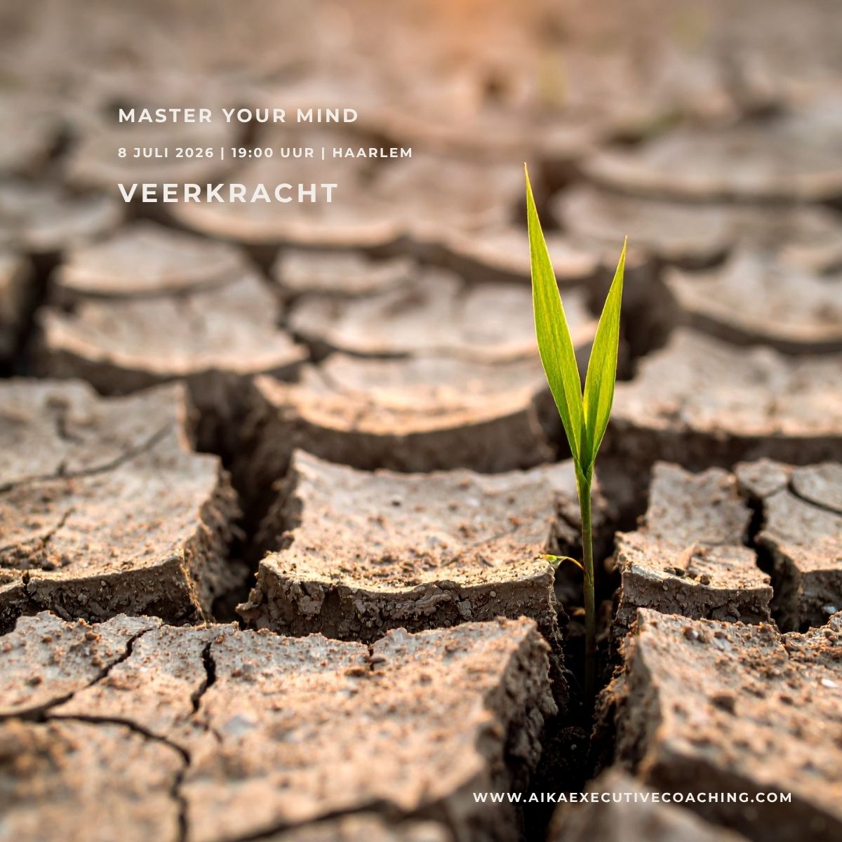 Veerkracht